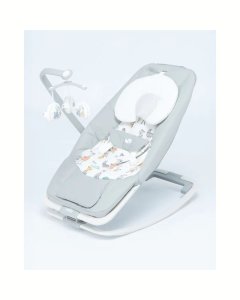 Joie Meet Dreamer Rocker
