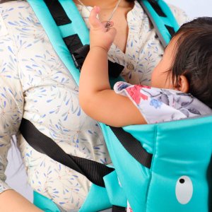 Steelbird Little One Baby Carrier