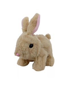 Pugs At Play Rabbit Pets Cookie The Hare