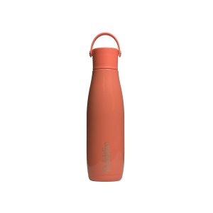 Dubblin Kiwi Stainless Steel Vacuum Insulated Bottle 500 ML