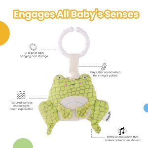 Nuluv Activity Frog Rattle