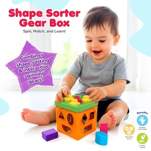 Funskool Shape Sorter Gear Box