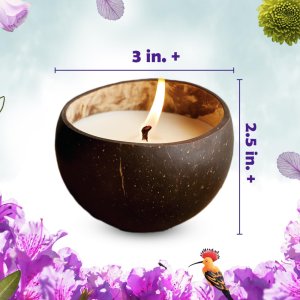 Kreeda Coconut Candle Making Kit
