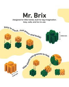 Mr. Brix Ram Mandir