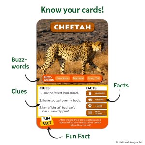 Skillmatics Guess in 10 National Geographic Animals
