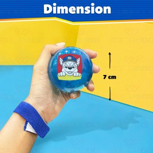 Wembley Paw Patrol Yoyo LED Ball