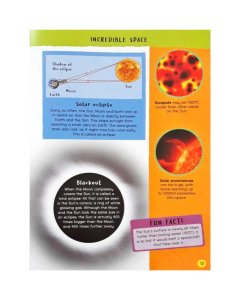 Miles Kelly My Junior Encyclopedia Amazing Facts