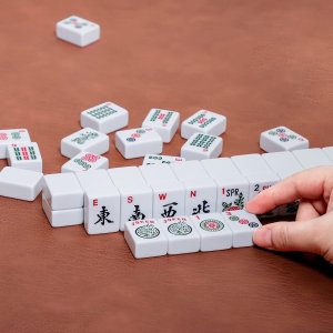 TF Mahjong Set