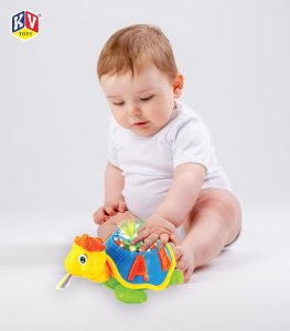 KV Toys 3D Tortoise Toy