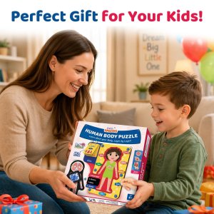 Smartivity Human Body Anatomy Puzzle
