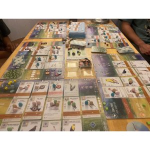 TF Wingspan Board Game A Competitive Bird-Collection, Engine-Building Game for 1-5 Players